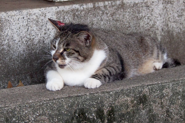 雫　カラに何か言ってるっぽい