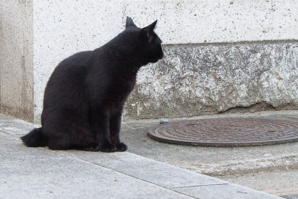 ココ　顔をそむけて