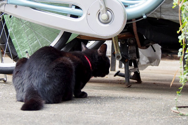 くー　腰を据えて見る