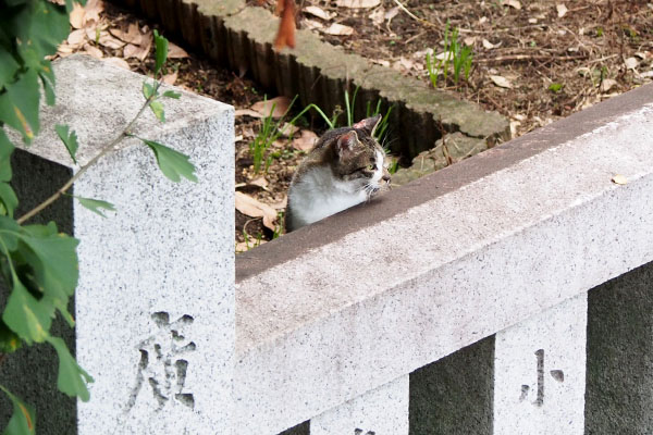 雫　階段から見えた