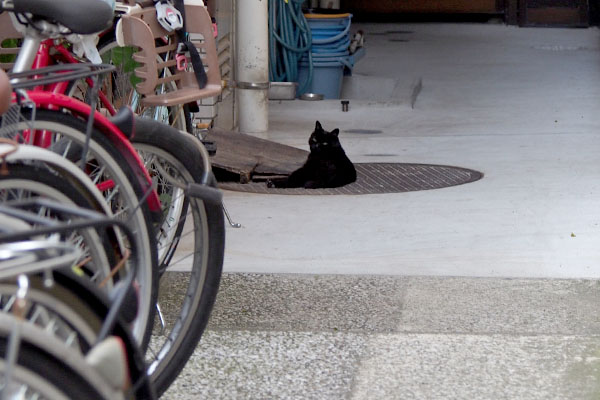 くろ太　マンションの裏口