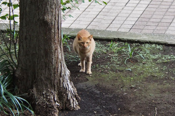 アン　奥から出てくるも