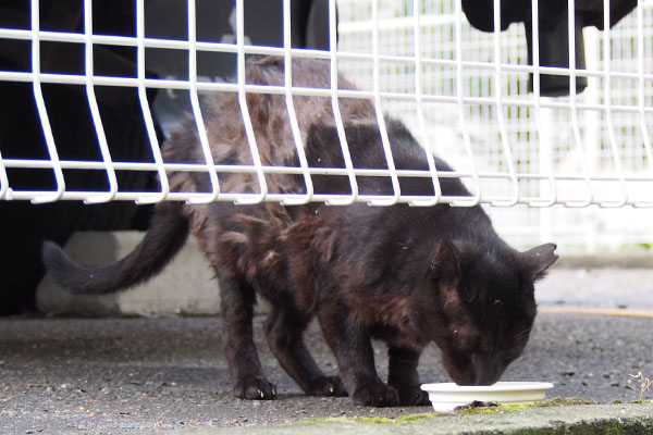 所々抜けるミトンの鎧