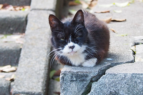 カラ　最初の一枚