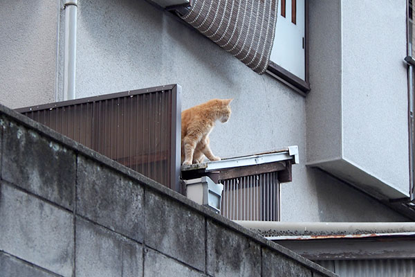 動くジル　向こうへ行く