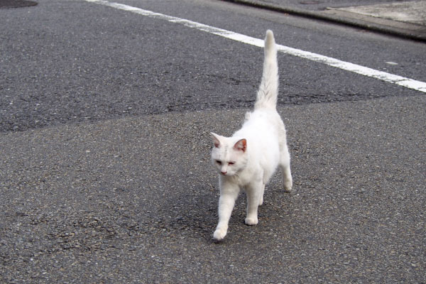 リリ　駐車場から