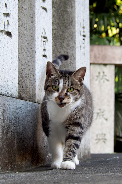 雫　突進２縦