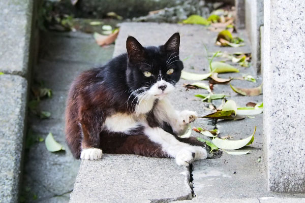 カラ　正面から見るとはみだしている