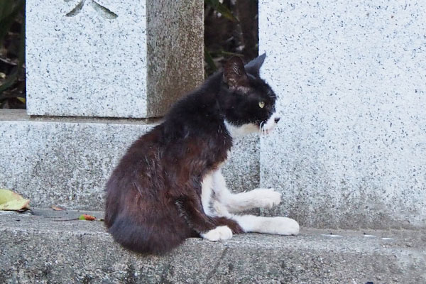 カラ　落ちそうな座り方