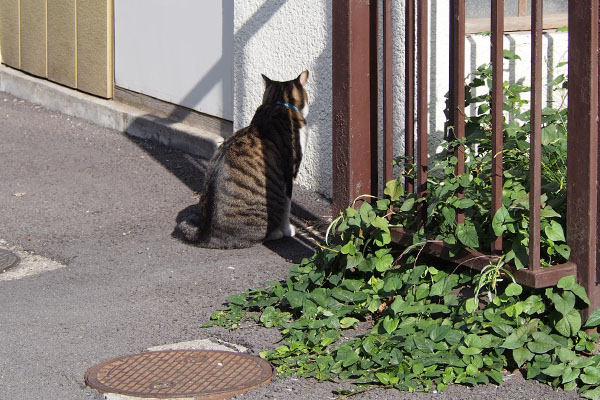 リオ　壁を見てた