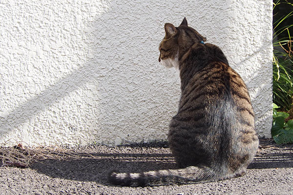 リオ　何かを追っている視線