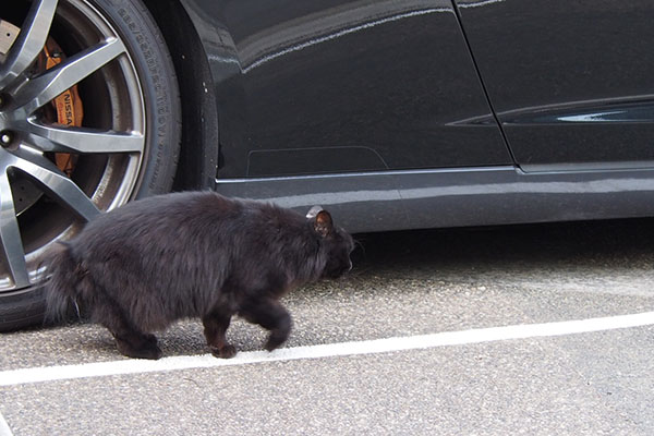 ハリマ　車の確認１