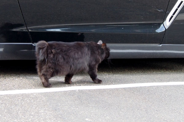 ハリマ　車の確認２