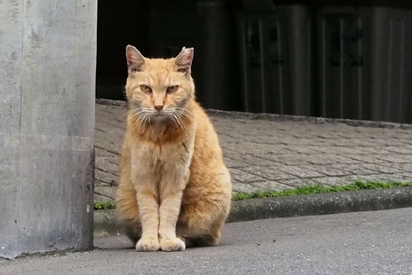 ジル　疑惑解除の目