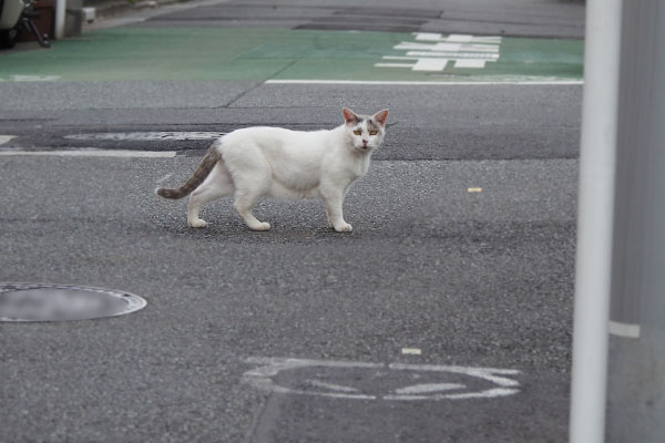 更にズーム　ジュリ