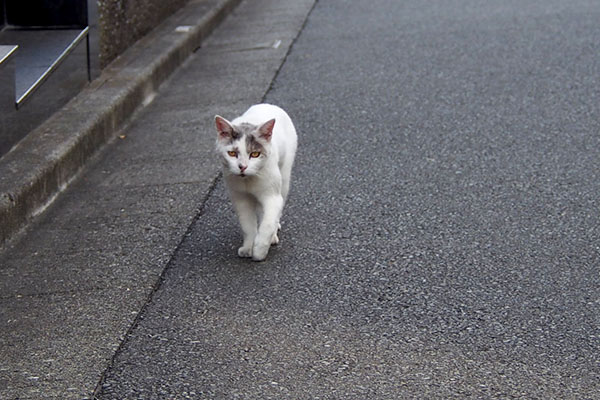 正面から　ジュリ