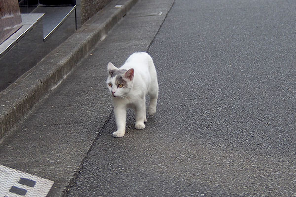 行先を見る　ジュリ