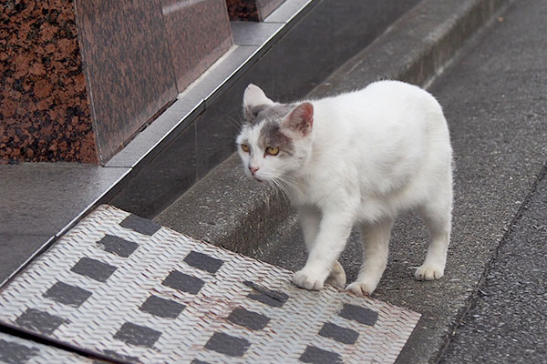 ステップに手を掛ける　ジュリ