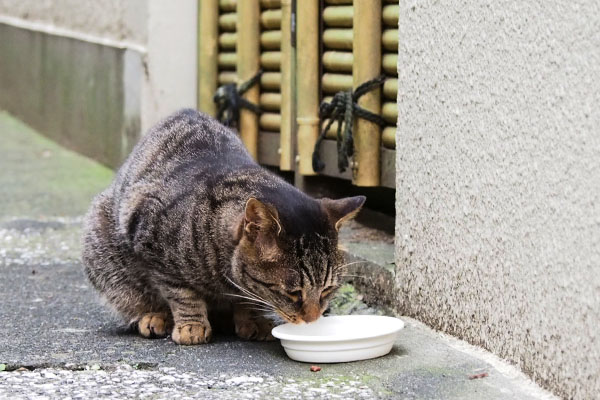 ひとりで食べるタビサンク