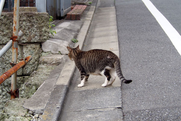 カイの向かった先は銀の通路