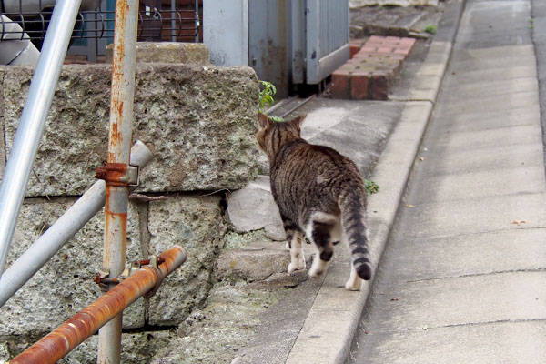 カイの向かった先は銀の通路２