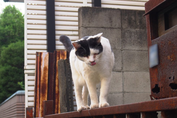 上から降りてきた坊