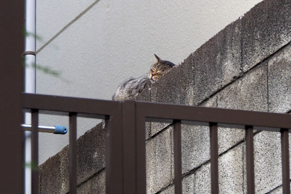 熟睡タビッツ　別宅