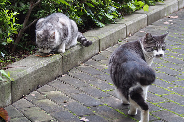 合流するクロムとタンタル