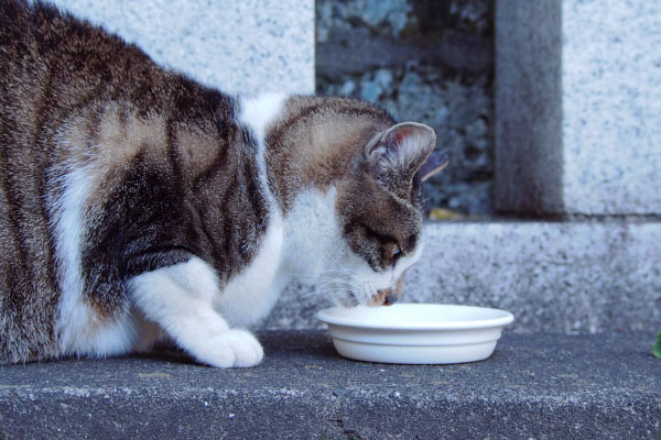 食べる雫