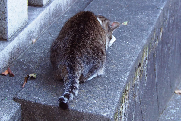 雫　丸い背中