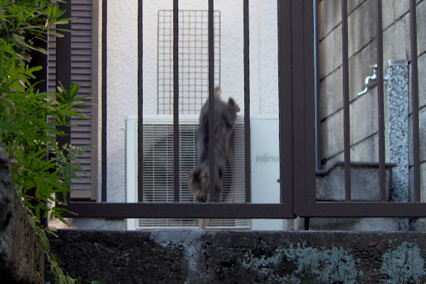 タビッツ室外機から降りて