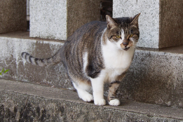 雫　ご挨拶