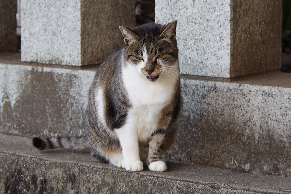 早く何かおくれ　雫