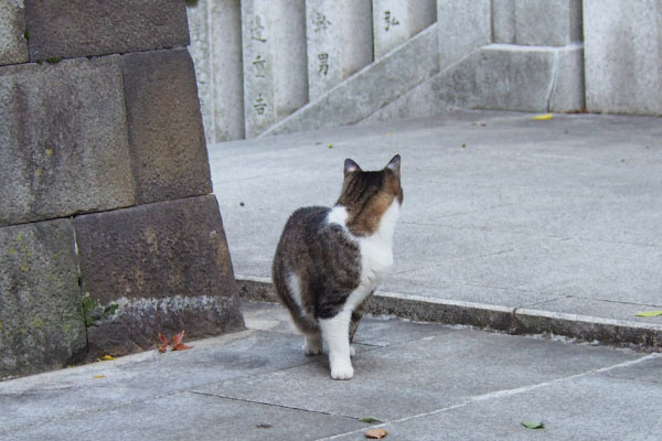 何かを感じ振り返る雫