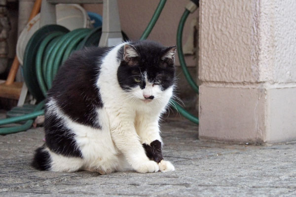 カル　途中で睨む