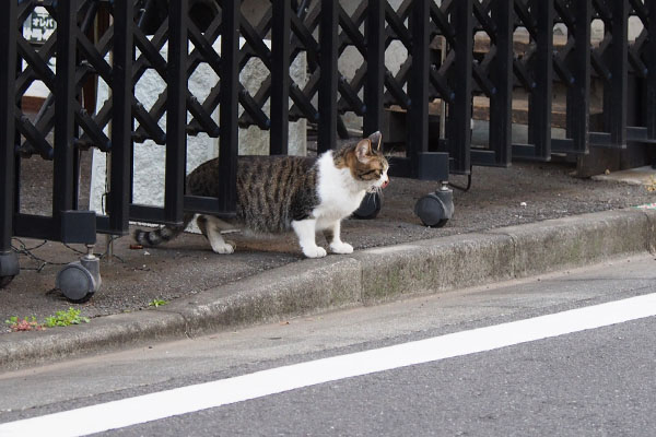 目的地を見る　さくら