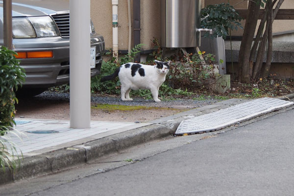 路地１　坊こちらを見る