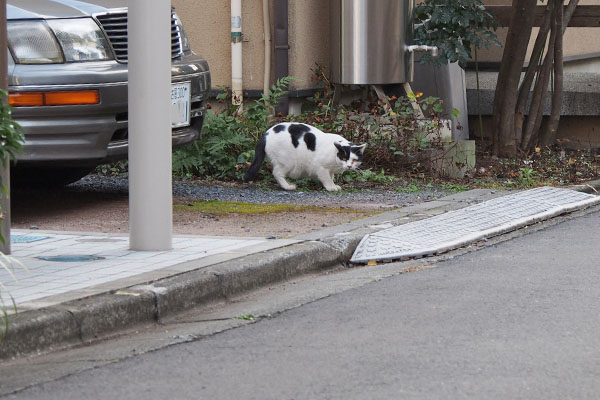 路地１　坊　呼ぶと見る