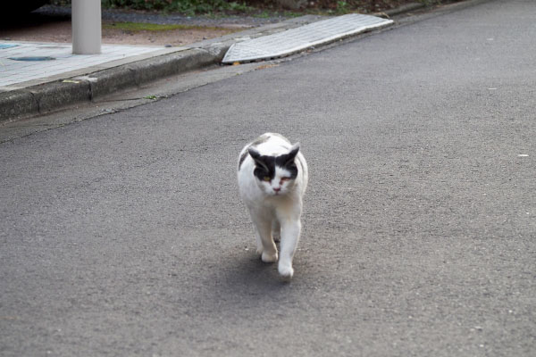 角を右へ　坊