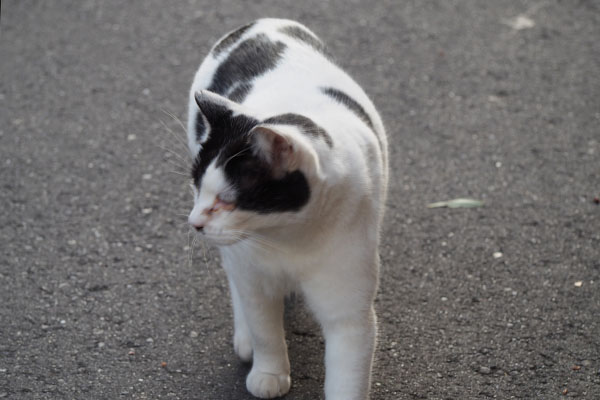 横を向く　坊