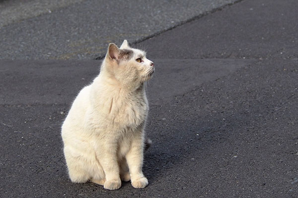 ビルの２階を見るジュリ