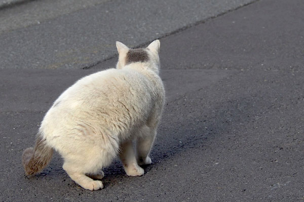 いざなかむら邸へ　ジュリ