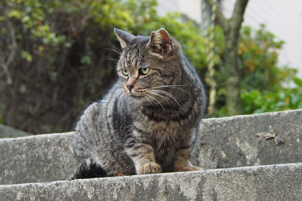 タビッツ　階段の下を見て