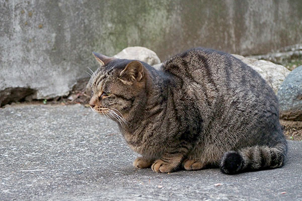 手前にタビサンク