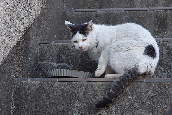 来るのか　テン