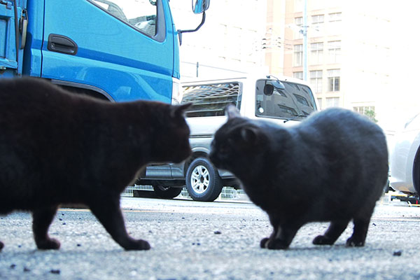 ミトンとティア　挨拶