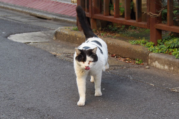 ２階から坊ぺろん