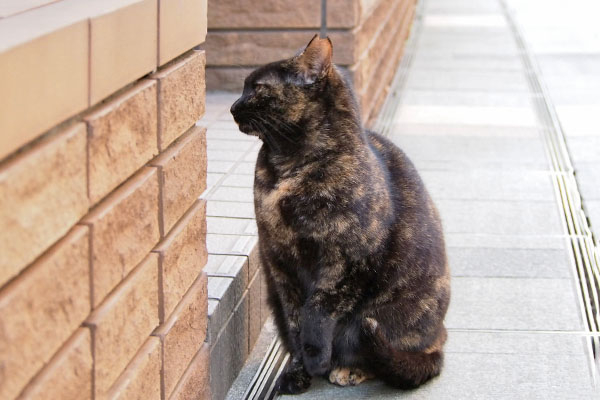 横を向くアンジュ片手あげたまま