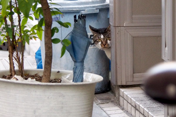 カメラも気になるオンブレ