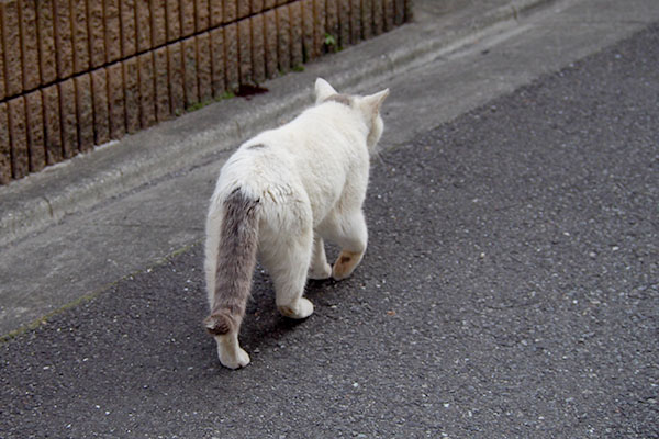 道路の反対側　ジュリ